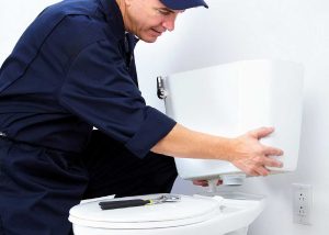 Toilet Repair